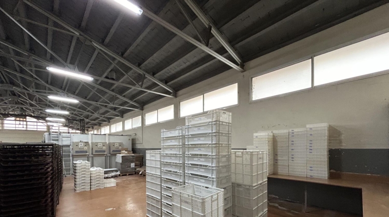 Tarragona - la Ràpita - 1180m2