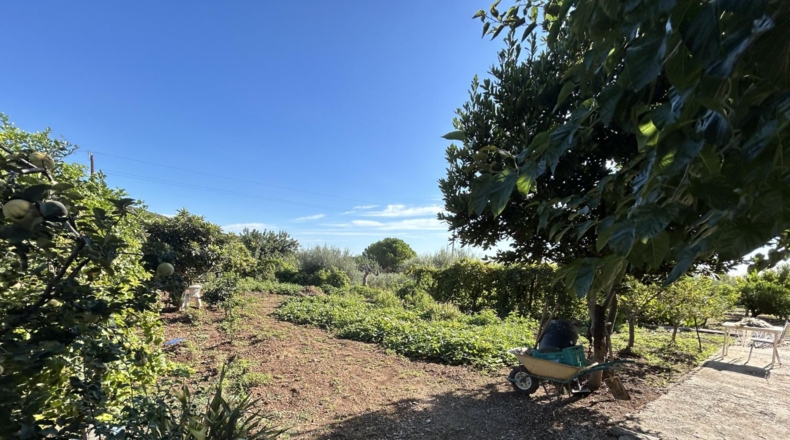Tarragona - l'Ampolla - 1842m2