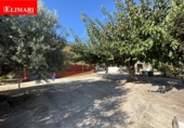 Vil·la amb terreny en venda a Alcanar ref.: TR349377 foto