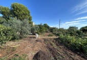 Vil·la amb terreny en venda a Alcanar ref.: TR349377 foto