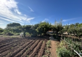 Vil·la amb terreny en venda a Alcanar ref.: TR349377 foto