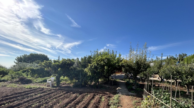 Tarragona - l'Ampolla - 1842m2