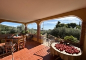 Vil·la amb terreny en venda a Alcanar ref.: TR349377 foto