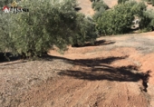 Земля на продажу у города Martos. Фото