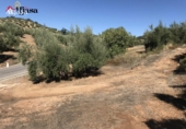 Земля на продажу у города Martos. Фото