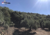 Земля на продажу у города Martos. Фото