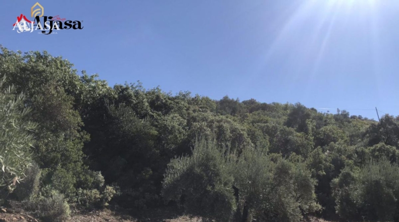 Jaén - Martos - 27242m2