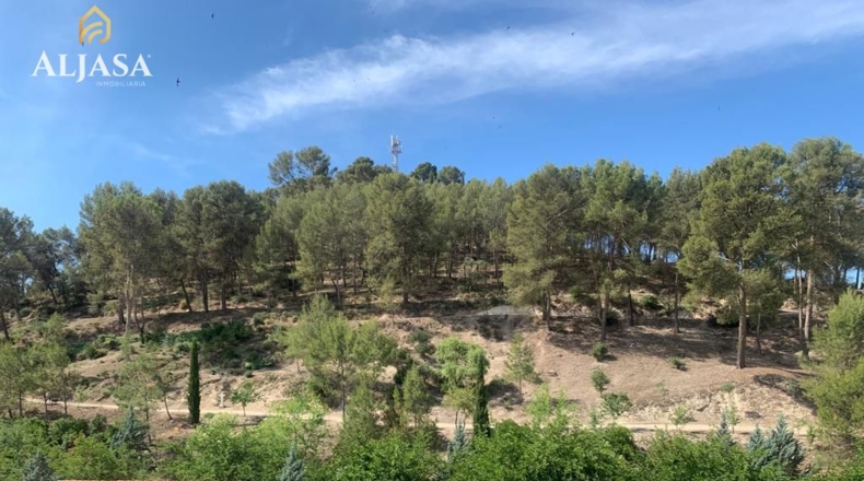 Jaen - Torredonjimeno - 135m2