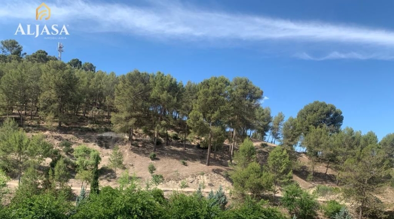 Jaen - Torredonjimeno - 135m2