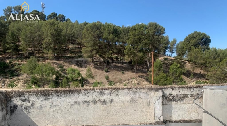 Jaen - Torredonjimeno - 135m2