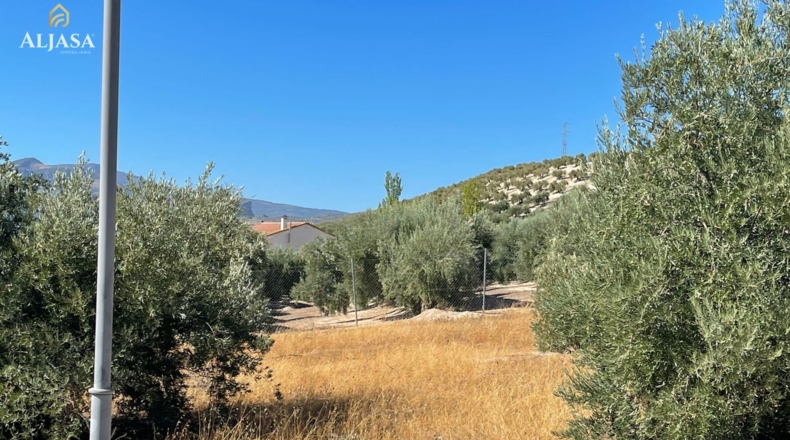 Jaen - La Guardia de Jaén - 400m2