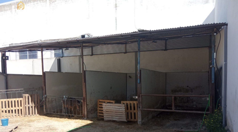 Jaén - Торредоньхимено - 350m2