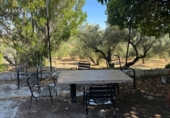 Finca rústica en venta en Torredonjimeno ref: TR330979 foto