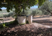 Finca rústica en venta en Torredonjimeno ref: TR330979 foto