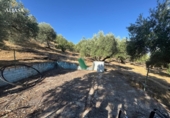 Finca rústica en venta en Torredonjimeno ref: TR330979 foto