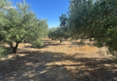 Finca rústica en venta en Torredonjimeno ref: TR330979 foto