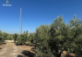 Finca rústica en venta en Torredonjimeno ref: TR330979 foto