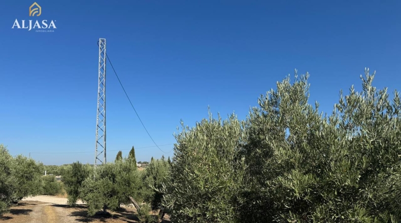 Jaén - Torredonjimeno - 16153m2