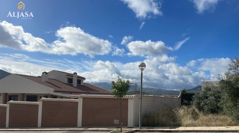 Jaén - La Guardia de Jaén - 800m2