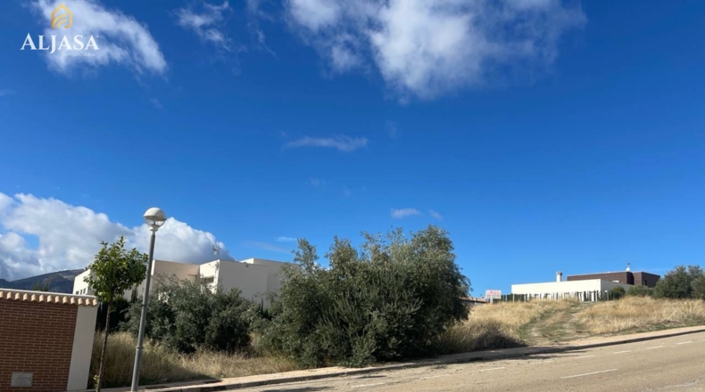 Jaén - La Guardia de Jaén - 800m2