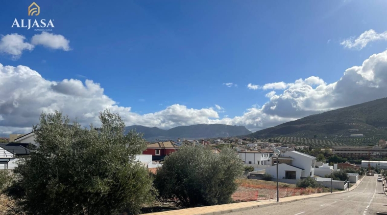 Jaén - La Guardia de Jaén - 400m2
