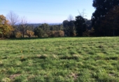 Non-developable land for sale in Cambre ref: TR53181 photo