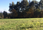Non-developable land for sale in Cambre ref: TR53181 photo
