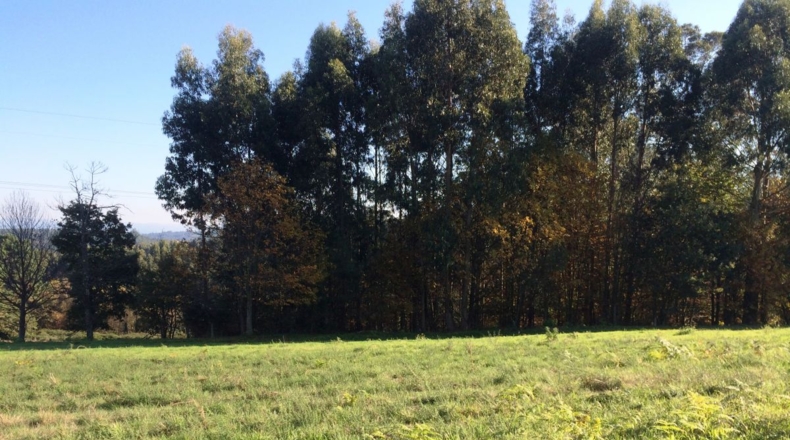 La Coruña - Anceis - 3103m2