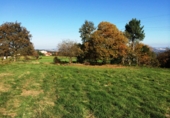 Non-developable land for sale in Cambre ref: TR53181 photo