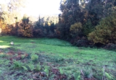 Non-developable land for sale in Cambre ref: TR53181 photo