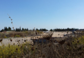 Rural estate for sale in Chipiona ref: TR13481 photo
