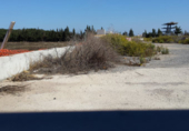 Rural estate for sale in Chipiona ref: TR13481 photo