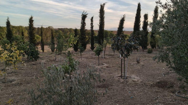 Cádiz - Chipiona - 6000m2