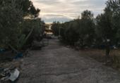 Finca rústica en venda a Chiclana de la Frontera ref.: TR351212 foto