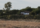 Finca rústica en venda a Chiclana de la Frontera ref.: TR351212 foto