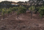Finca rústica en venda a Chiclana de la Frontera ref.: TR351212 foto