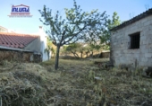 Дом с участком на продажу в городе Valle de Santa Ana. Фото