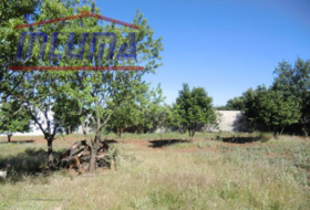 Херес-де-лос-Кабальерос 7857&nbsp;м²