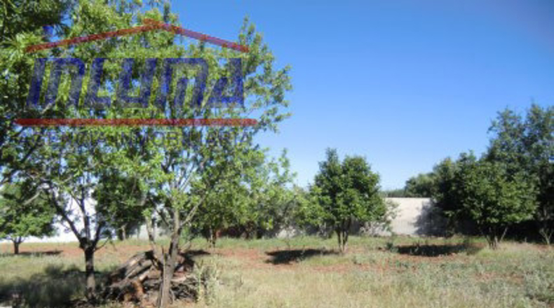 Badajoz - Jerez de los Caballeros - 7857m2