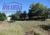 Finca rústica en venda a Jerez de los Caballeros ref.: TR12977 foto