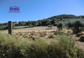 Finca rústica en venda a Jerez de los Caballeros ref.: TR12977 foto