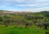 Terreny no urbanitzable en venda a Jerez de los Caballeros ref.: TR53163 foto
