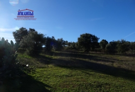 Valle de Santa Ana 13280&nbsp;m²