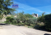 Rural estate for sale in Jerez de los Caballeros ref: TR377465 photo