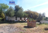 Rural estate for sale in Jerez de los Caballeros ref: TR377465 photo