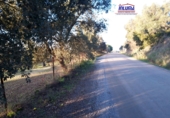 Terreno no urbanizable en venta en Jerez de los Caballeros ref: TR252358 foto