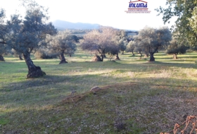 Jerez de los Caballeros 15700&nbsp;m²