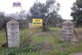 Jerez de los Caballeros 15700&nbsp;m²