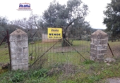 Terreno no urbanizable en venta en Jerez de los Caballeros ref: TR252358 foto