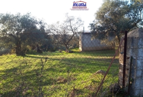 Jerez de los Caballeros 15700&nbsp;m²